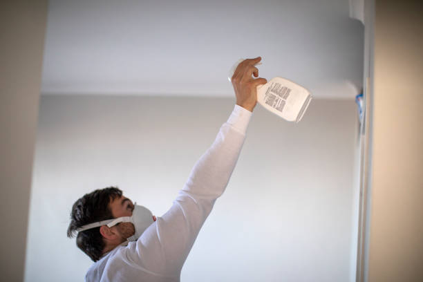 Best Mold Damage Repair  in Brookville, NY