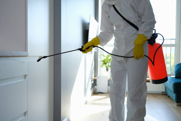Mold Removal Process in Brookville, NY