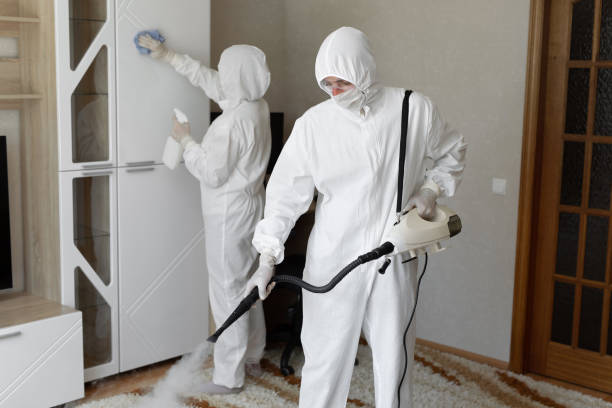Best Mold Removal Process  in Brookville, NY